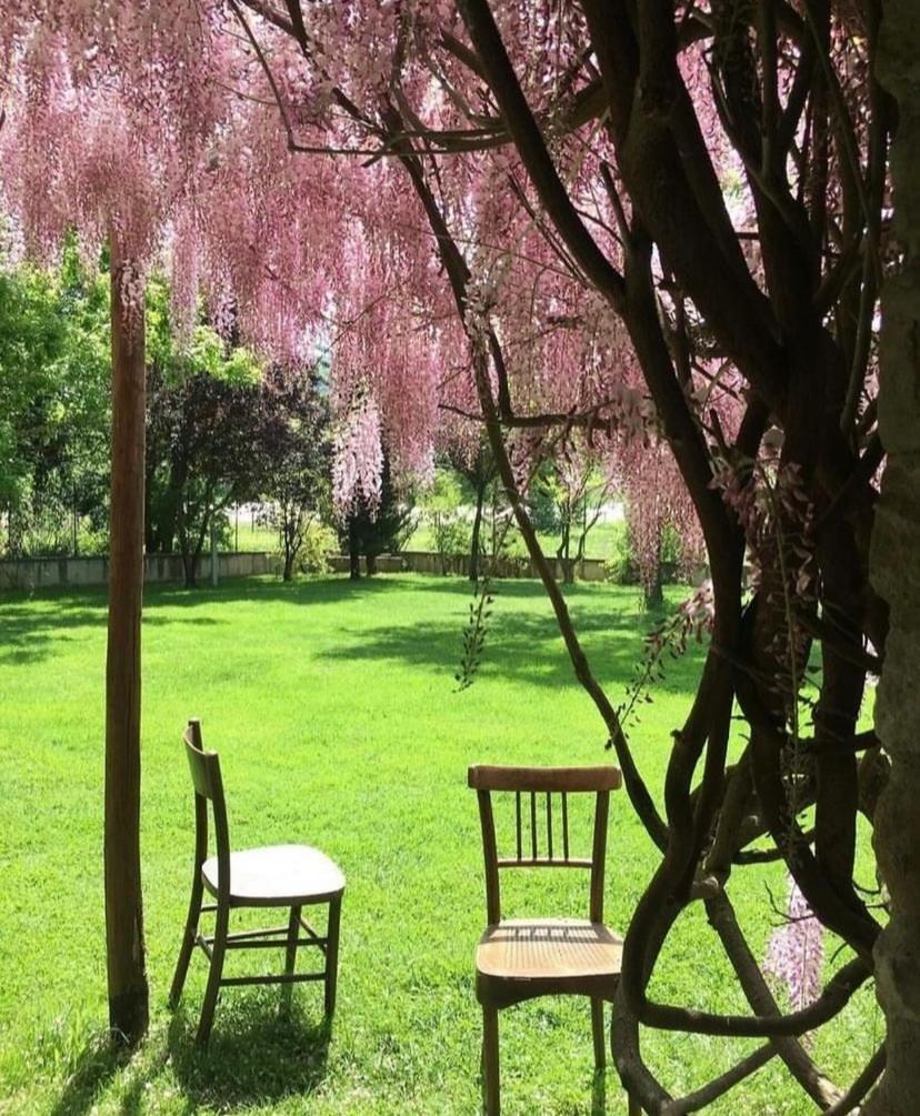La Taverna Fra Le Colline Arezzo Exteriör bild